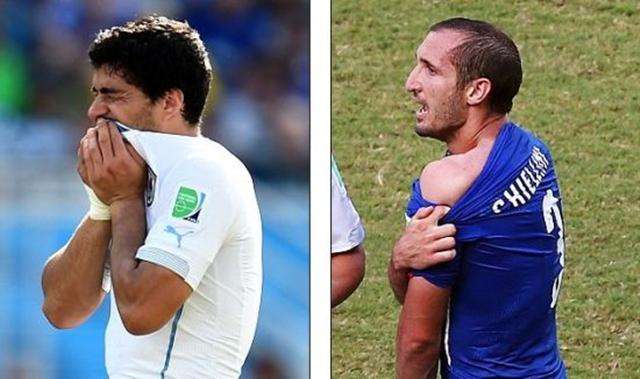 这也是他们 这也是他们